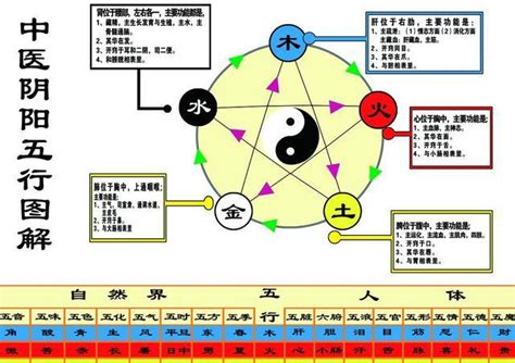 語 五行|语的五行属性是什么